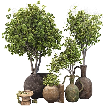  3D Plant Collection Set 3D model image 1 