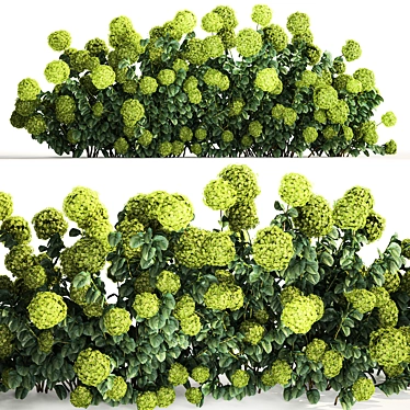 Green Hydrangea Plant Collection for Urban Gardens 3D model image 1 