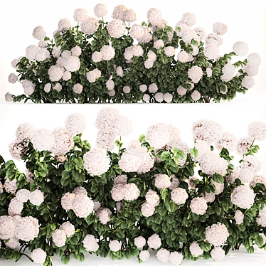 White Hydrangea Bush for Garden Decor 3D model image 1 