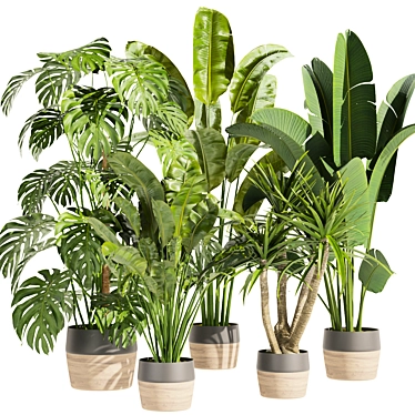 Premium Indoor Plant Collection Vol.452 3D model image 1 