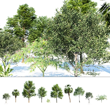 Urban Park Trees Collection 3D model image 1 