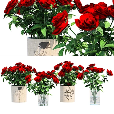 Red Rose Vases Set Beauty 3D model image 1 