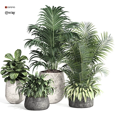 Modern Indoor Plant Set Collection 3D model image 1 