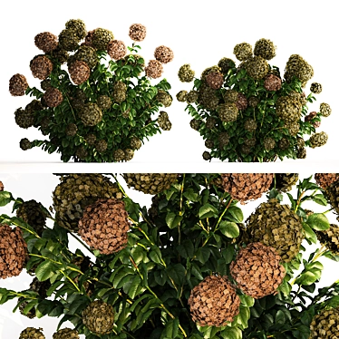 Green Hydrangea Collection for Landscaping 3D model image 1 