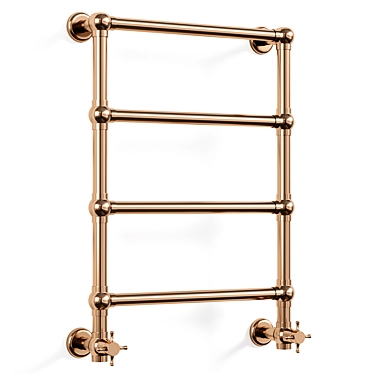 Elegant Brass Towel Warmers Duo 3D model image 1 