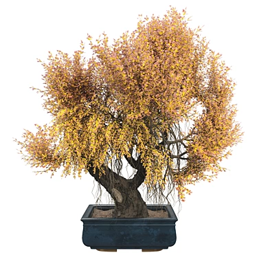 Elegant Bonsai Tree 100cm 3D model image 1 