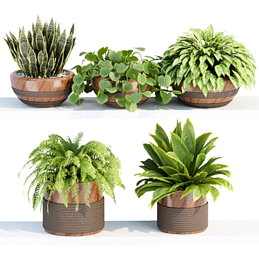 PBR Indoor Plant Shelf Collection 3D model image 1 