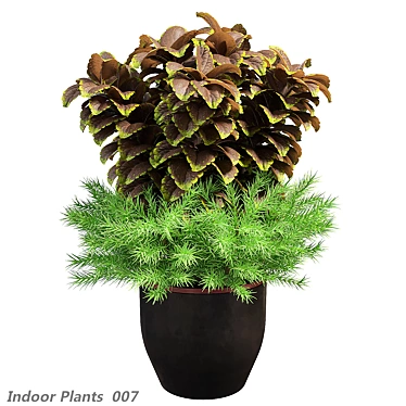 Modern Indoor Botanical Art Sculpture 3D model image 1 