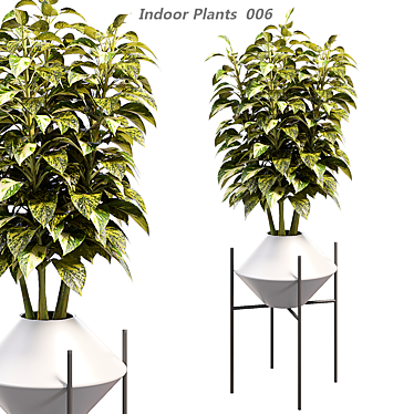 Modern Indoor Plant in Pot 3D model image 1 