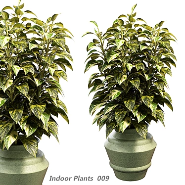 Creative Indoor Plant 3D Model 3D model image 1 