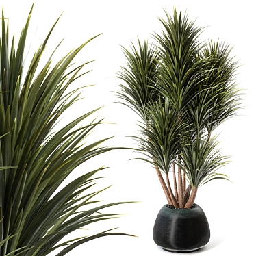 Natural Yucca Plant Decor 3D model image 1 