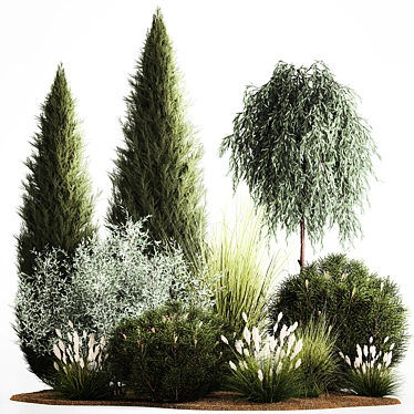 Alpine Greenery Collection: Cypress, Thuja, Olive Bushes 3D model image 1 