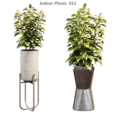 Modern Indoor Plant Decor 011 3D model image 1 