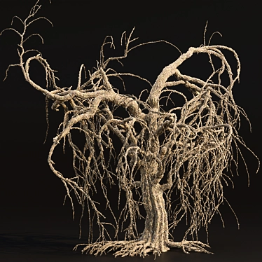 Grieving Willow Tree 3D Model 3D model image 1 