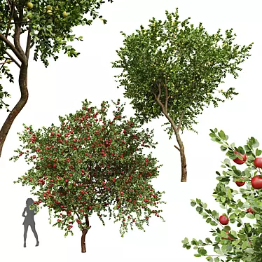 Fruit Tree Lemon Apple Plants 3D model image 1 