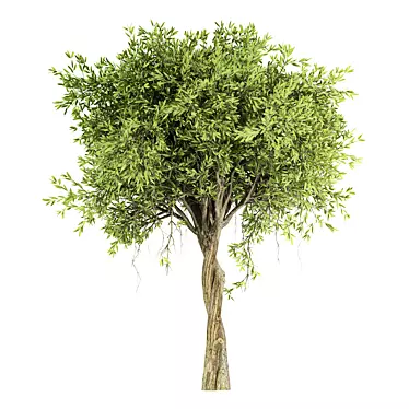 Centimeter Tree No.21 Figurine 2013 3D model image 1 