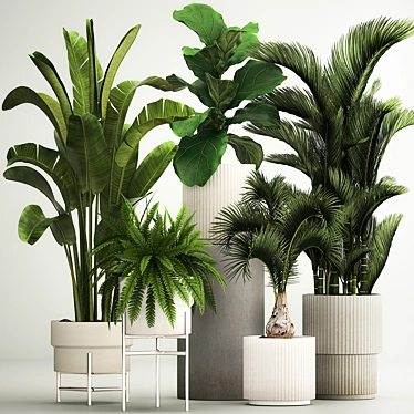 Tropical Plant Set in Concrete Pots 3D model image 1 