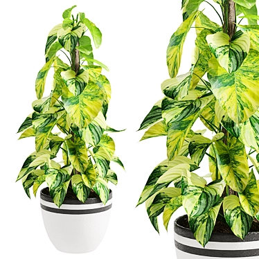 Golden Pothos Model for 3D 3D model image 1 