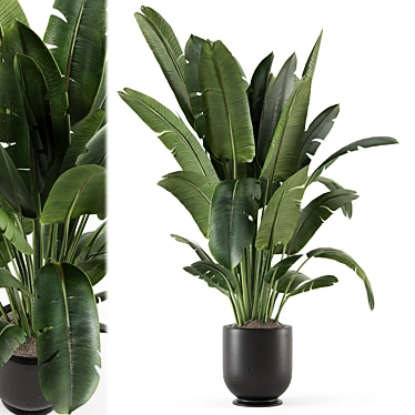 Rustic Concrete Pot Indoor Plants 3D model image 1 