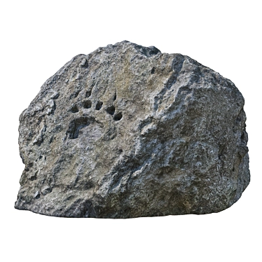 Bear Paw Stone 3D Model 3D model image 1 