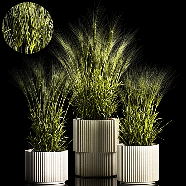 Spikelet Wheat Decor Collection 3D model image 1 