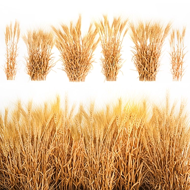 Decorative Wheat Bundle for Eco Design 3D model image 1 