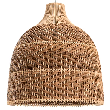 Handcrafted Rattan Pendant Light 3D model image 1 