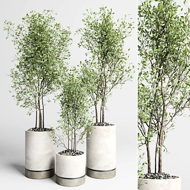 Concrete Box Plant Stand Set 3D model image 1 