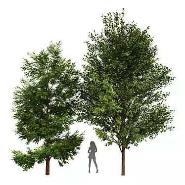 Diverse 3D Tree Models Set 3D model image 1 