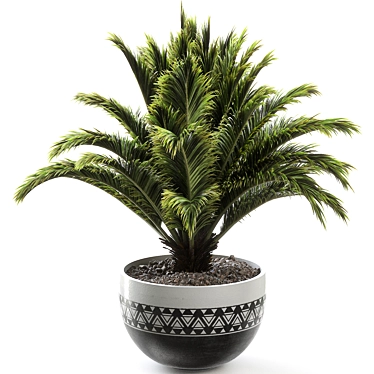 Russian Sago Palm Render Exquisite 3D model image 1 