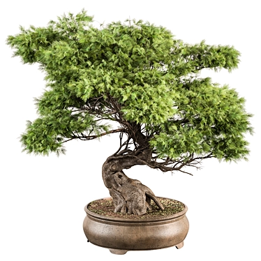 Bonsai Plant 491 - Indoor Beauty 3D model image 1 