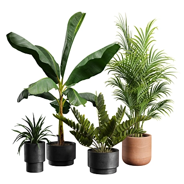 Exotic Indoor Plants Pack 43 3D model image 1 