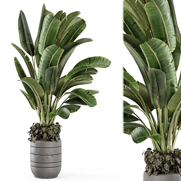 Rusty Concrete Pot Indoor Plants 3D model image 1 