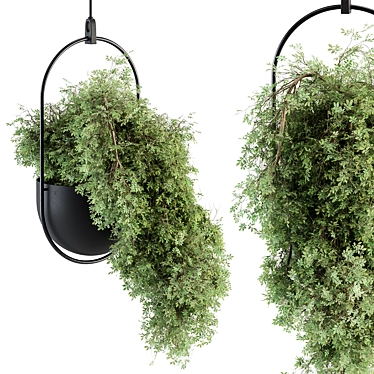 Lush Hanging Indoor Plant 3D model image 1 