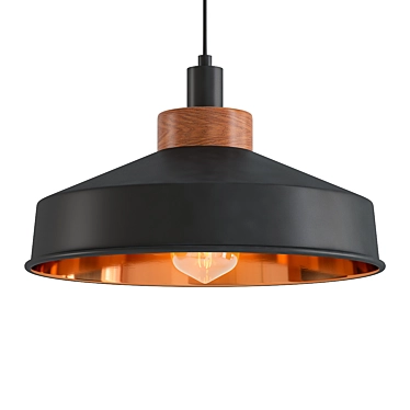 Cosmos Graphite Copper Pendant Light 3D model image 1 