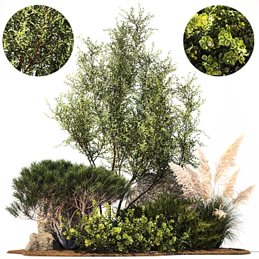 Alpine Garden Set: Juniper & Fir 3D model image 1 