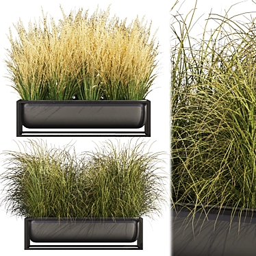  Premium Switchgrass Northwind Collection 3D model image 1 