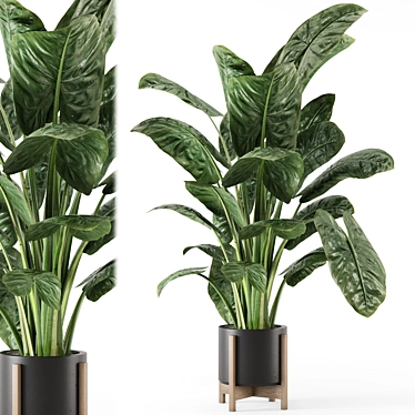 Large Indoor Plant Set 1420 3D model image 1 