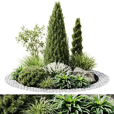 Modern Outdoor Plant Set 14 3D model image 1 