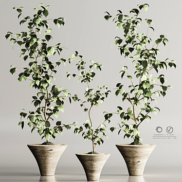 Modern Indoor Plant Set 105 3D model image 1 