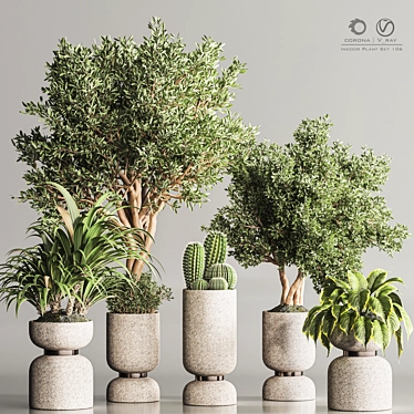 Modern Indoor Plant Set Bundle 3D model image 1 