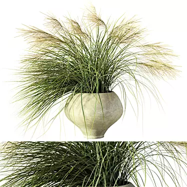 Nature's Harmony Grass Pampas Ensemble 3D model image 1 