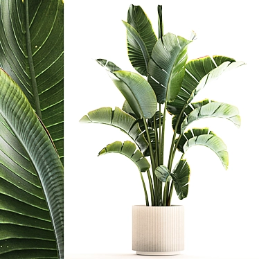 Tropical Foliage Set with Modern Vase 3D model image 1 