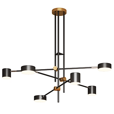 Modern Ceiling Light Fixture, Black 3D model image 1 