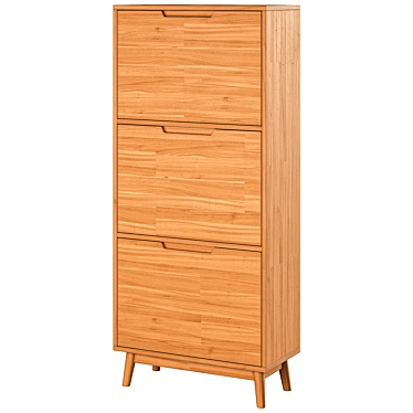 IRVING Shoe Cabinet with 2 Drawers 3D model image 1 