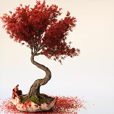 Bonsai Flower Set-10