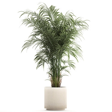 Modern Exotic Palm Plant Décor 3D model image 1 