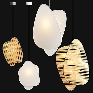  Murano Rattan Screen Pendant Light 3D model image 1 