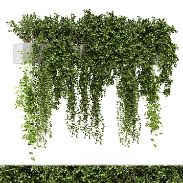 Gray Pot Indoor Hanging Plants 3D model image 1 