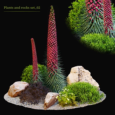 Plants & Rocks Collection Vray Model 3D model image 1 